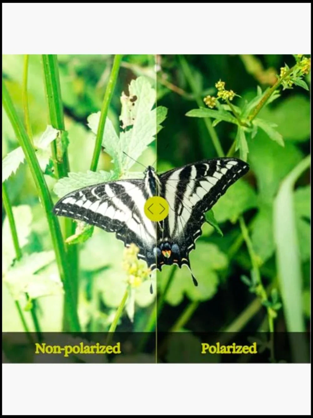 Polarized Recycled Sunglasses - Wrap Around